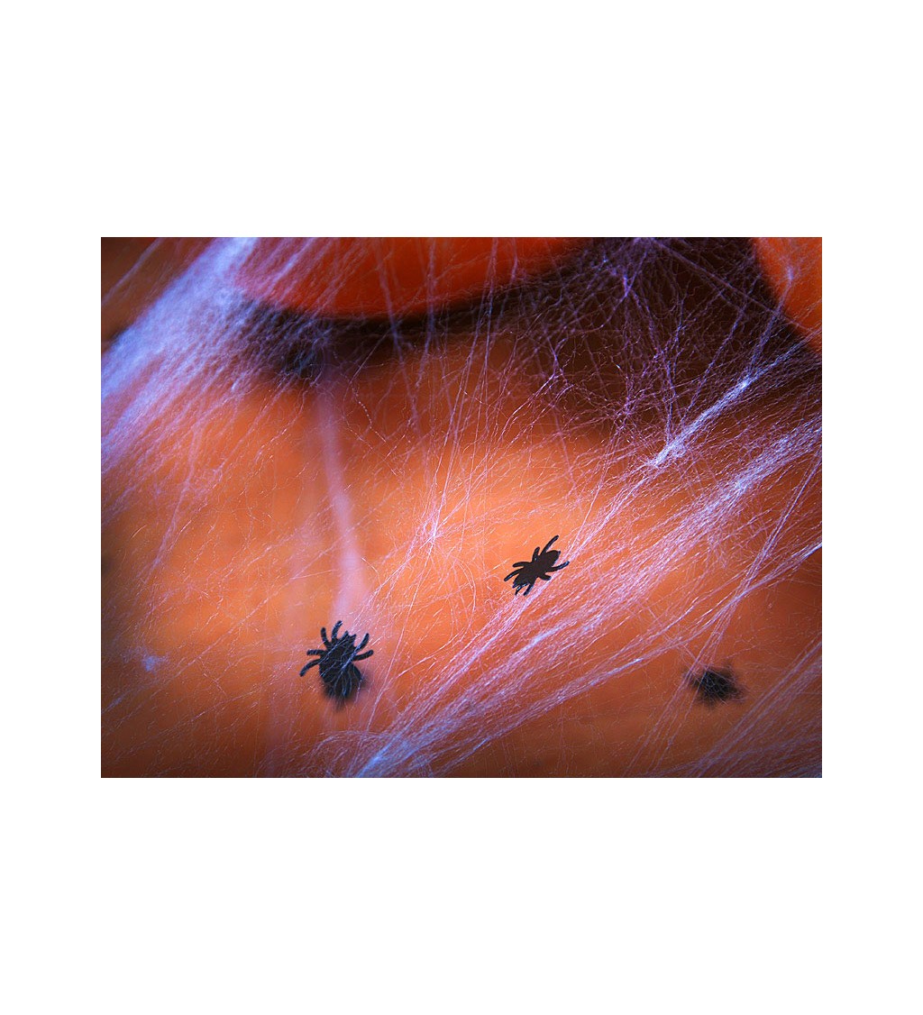 Dekorace - Konfety pavoučci
