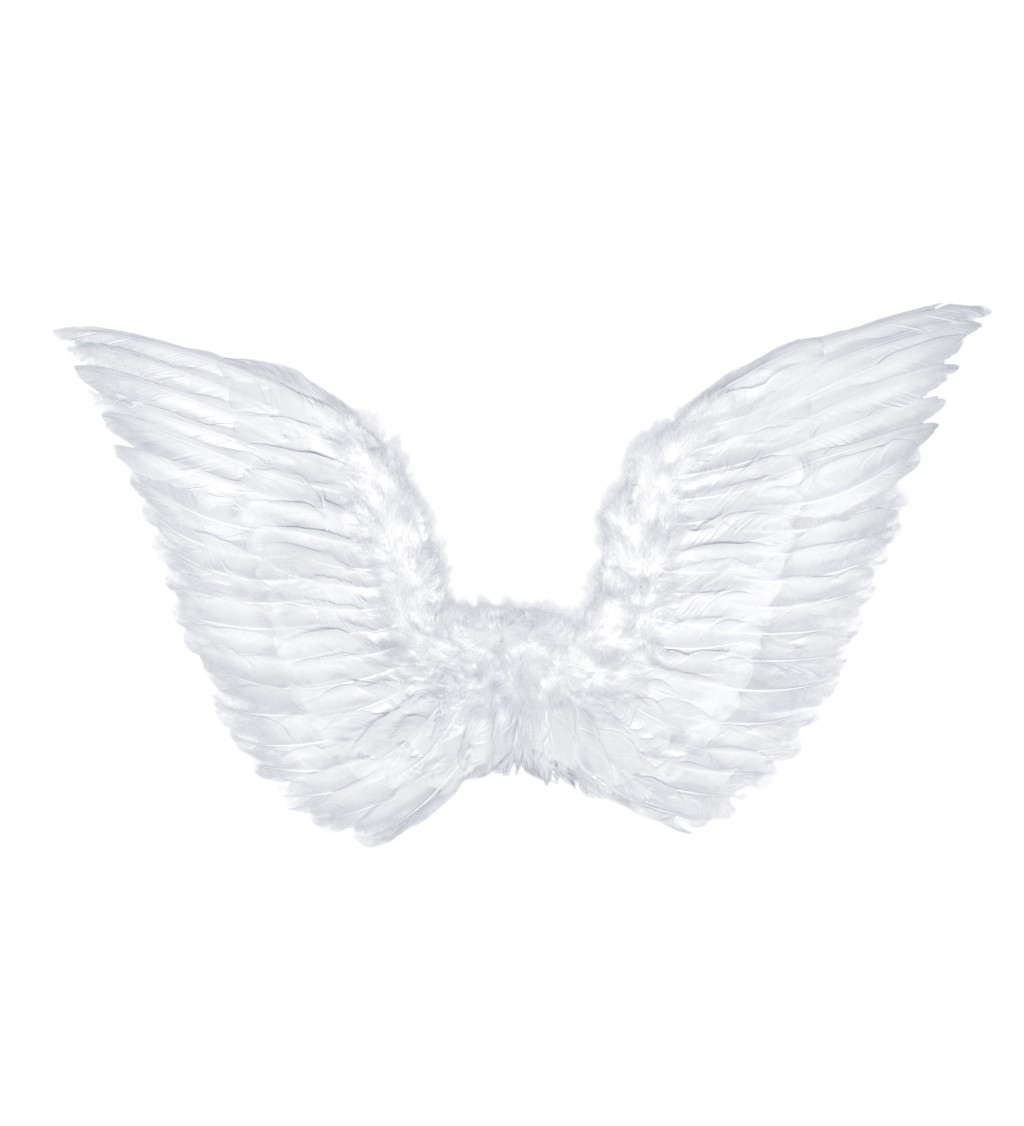Andělská křídla - bílá, 75 x 45cm