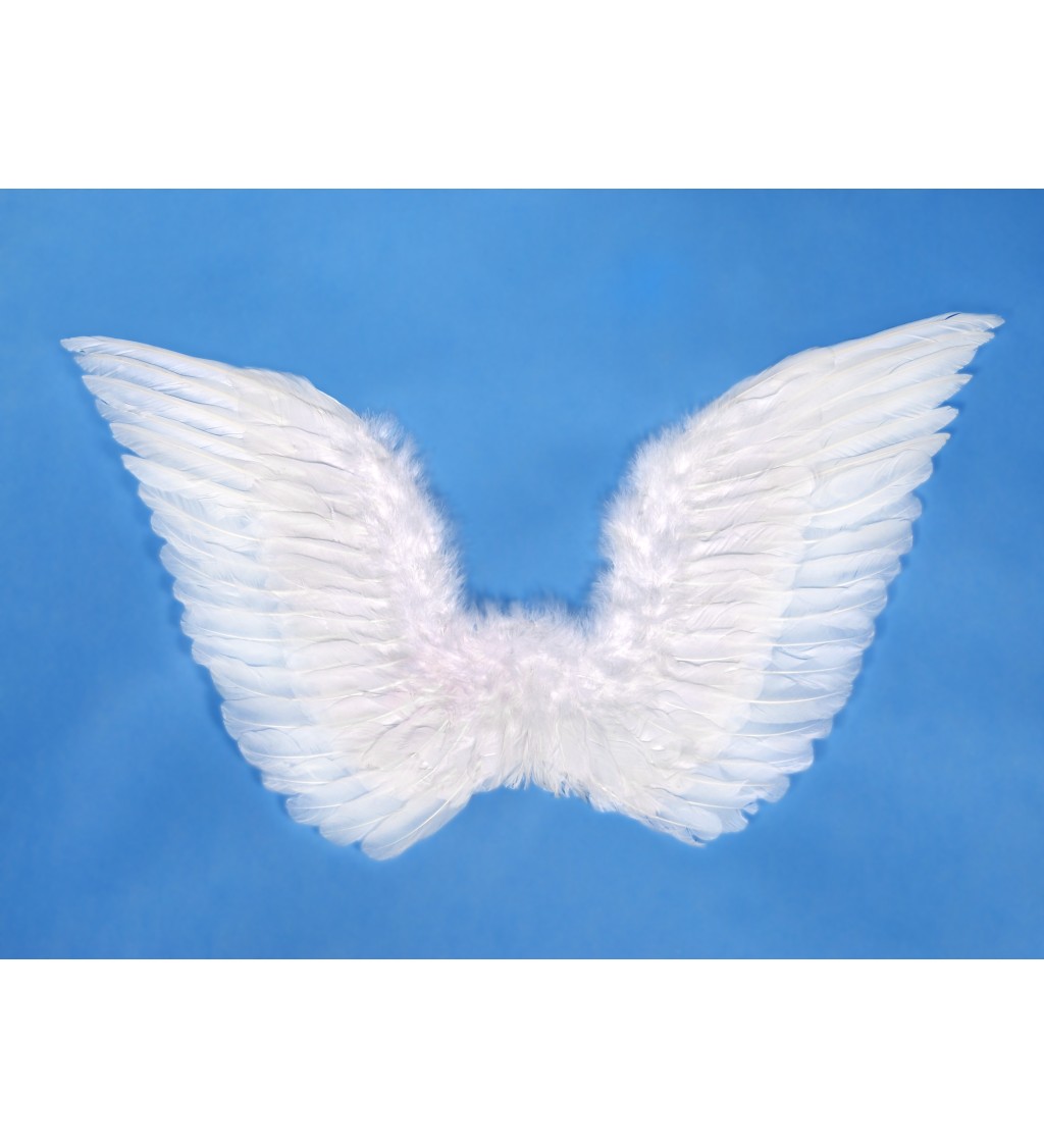 Andělská křídla - bílá, 75 x 45cm