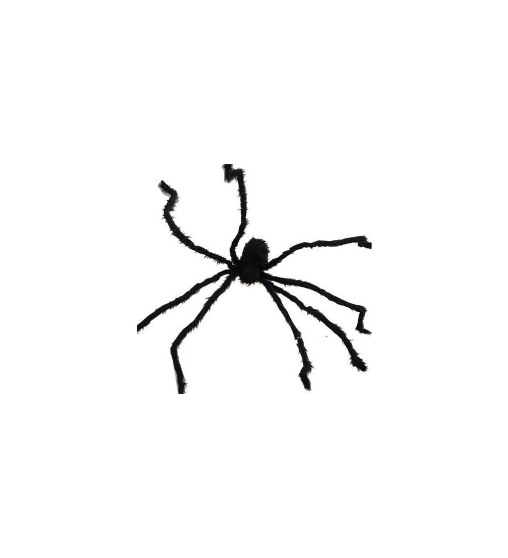Dekorace - Chlupatý pavouk