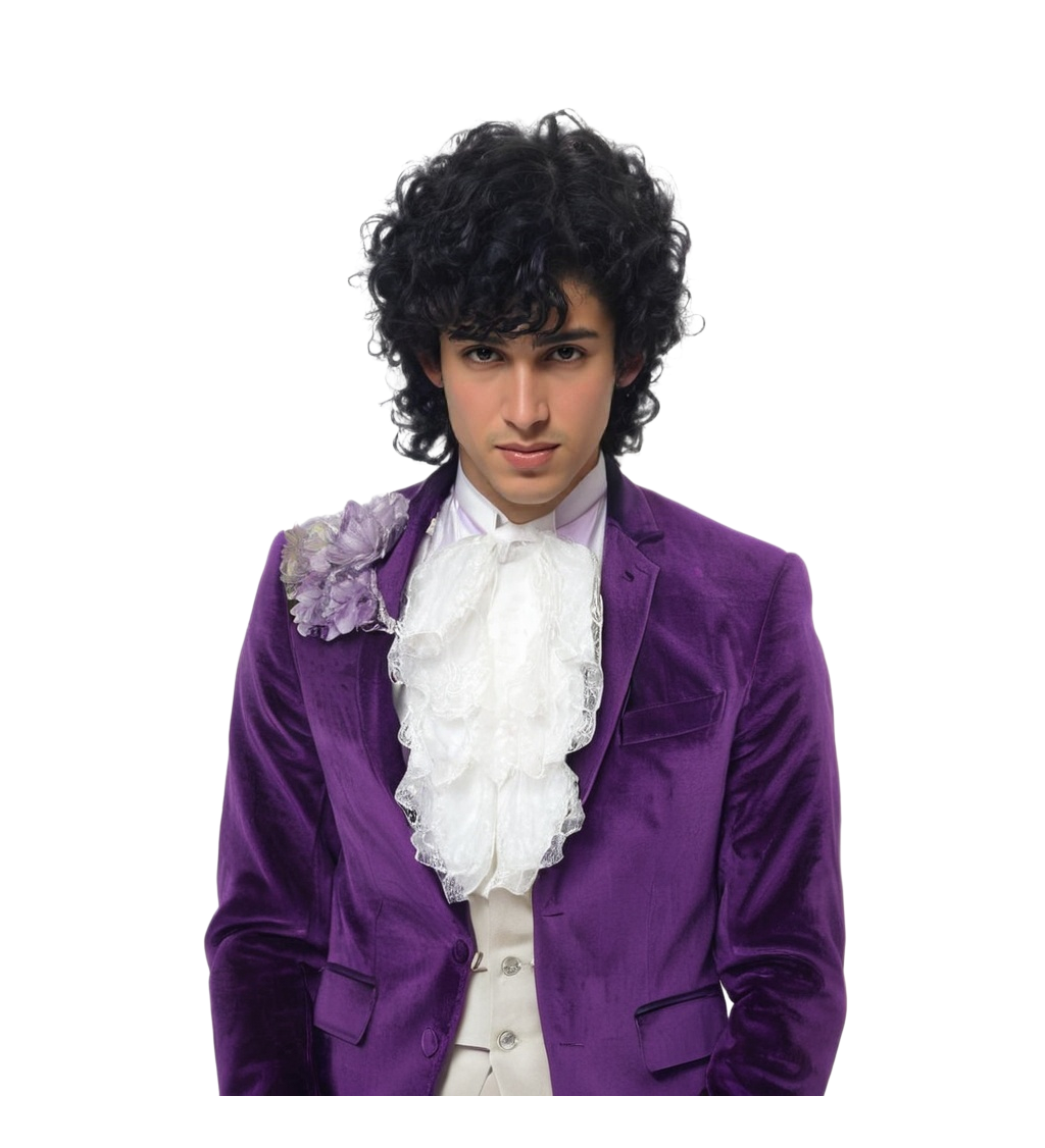 Pánská paruka fialový hudebník