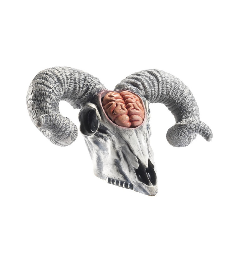 Beraní lebka s mozkem halloweenská dekorace